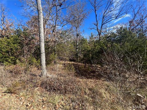 0 Rue Riviera, Bonne Terre, MO, 63628 | Card Image