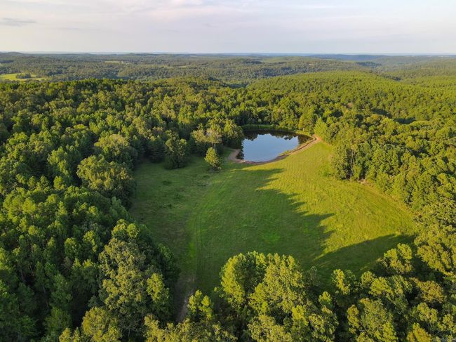192 Sweet Gum Holw, Home with 0 bedrooms, 0 bathrooms and null parking in Rose Bud AR | Image 16