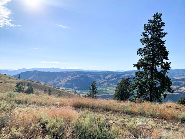 100 Pine Bluffs Ln, Home with 0 bedrooms, 0 bathrooms and null parking in Waterville WA | Image 26