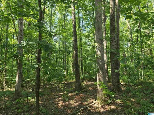 40-0000 County Road 31, Lineville, AL, 36266 | Card Image