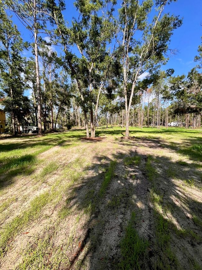 0 Ne Webb Ln, Home with 0 bedrooms, 0 bathrooms and null parking in Steinhatchee FL | Image 12