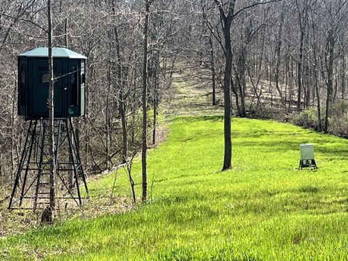 42579 Darwin Rd, Shade, OH, 45776 | Card Image