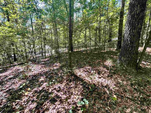 wr65-65 Woodrun Dr, Middleton, TN, 38052-4461 | Card Image