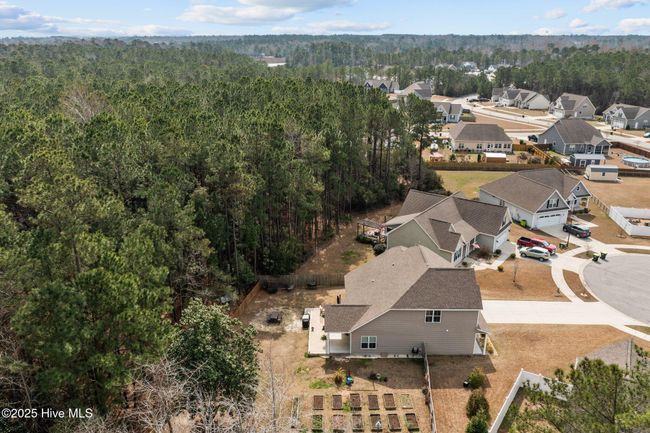 305 Big Pine Ct, House other with 3 bedrooms, 3 bathrooms and 2 parking in Hubert NC | Image 32