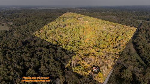 1251 County Road 7550, Pottersville, MO, 65790-6360 | Card Image