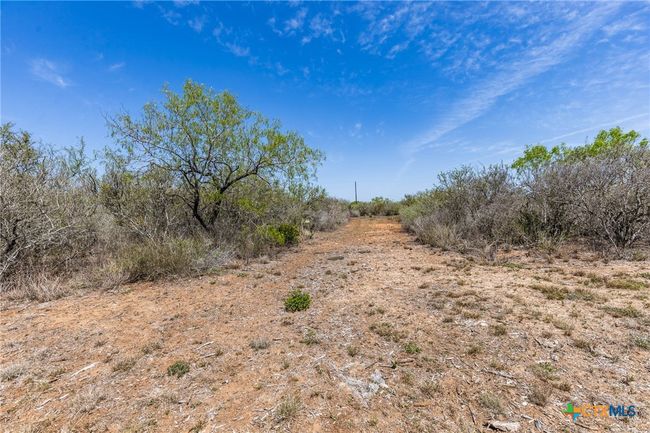 1426 S Dr E.E. Dunlap Hwy, House other with 3 bedrooms, 2 bathrooms and null parking in San Diego TX | Image 11