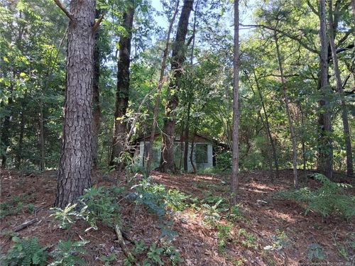 856 Harvey Lillie Avenue, Hope Mills, NC, 28348 | Card Image