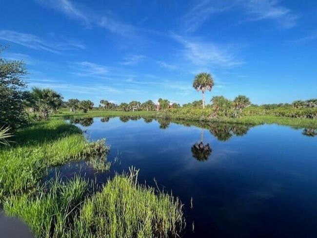 1303 Cabbage Ln, Home with 0 bedrooms, 0 bathrooms and null parking in Okeechobee FL | Image 8