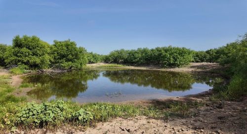 122 Pr 2562, Santa Anna, TX, 76878 | Card Image