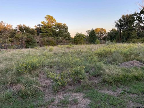 0 E Us Hwy 175, Larue, TX, 75770 | Card Image