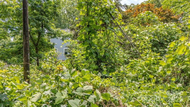 99999 Westchester Dr, Home with 0 bedrooms, 0 bathrooms and null parking in Asheville NC | Image 12