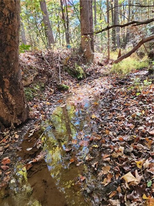 0 Grace Dr, Blue Ridge, GA, 30513 | Card Image