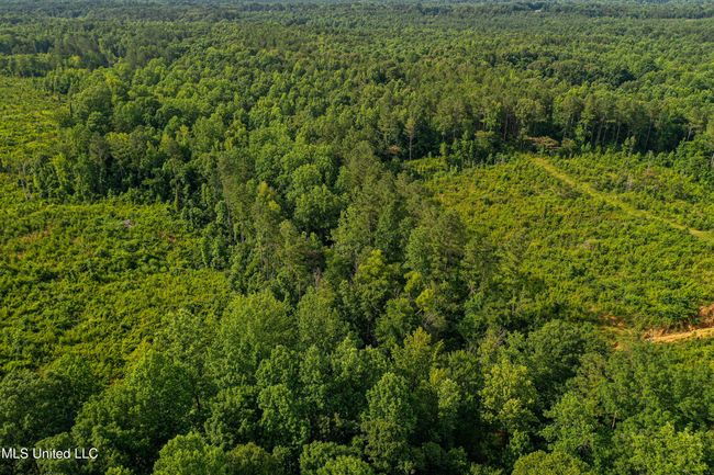 DJI_0260 | Image 39