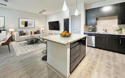 apt-1418-306 Mcgowen St, Houston, TX, 77006-2247 | Card Image