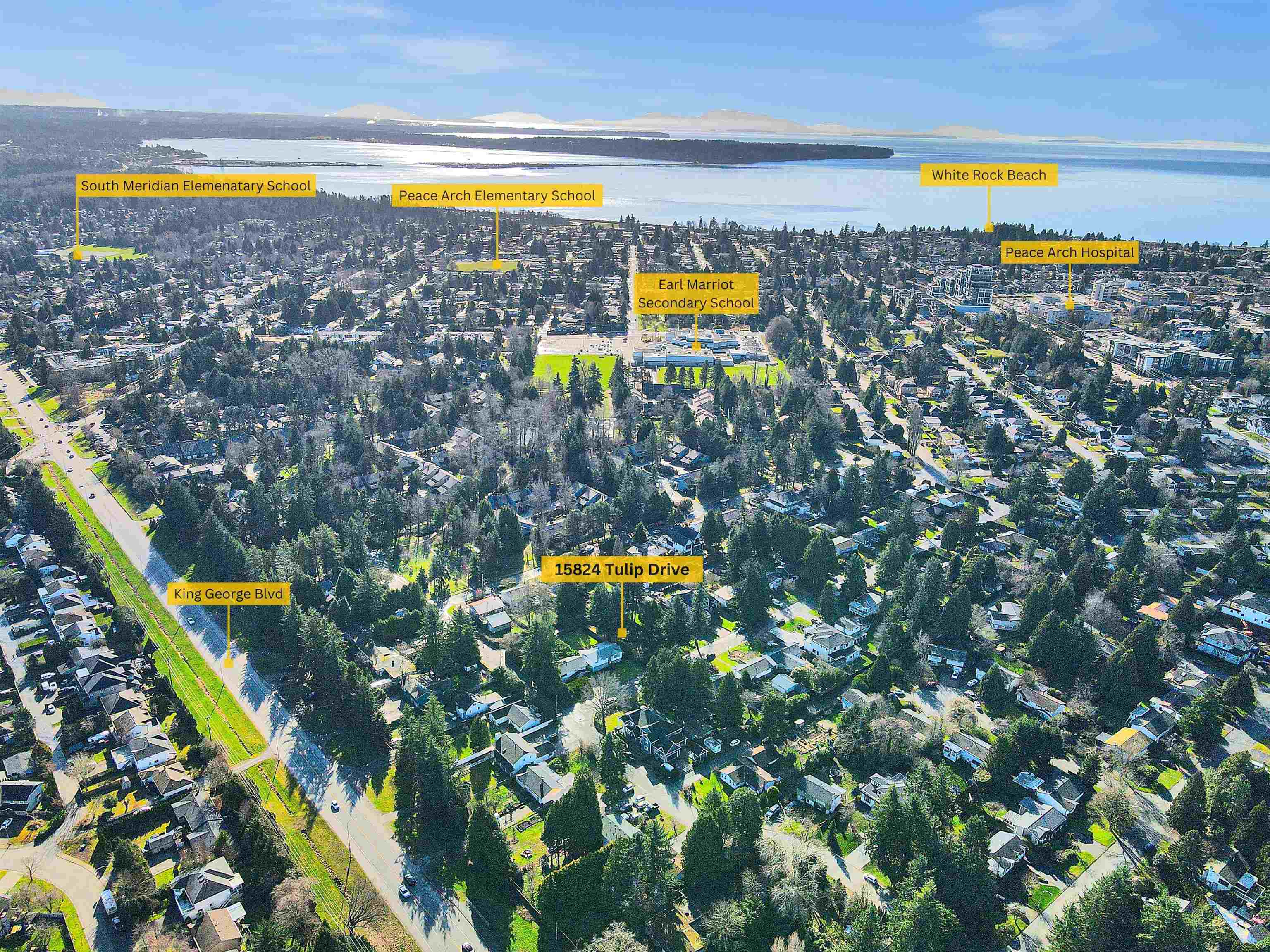 Land in Surrey 3