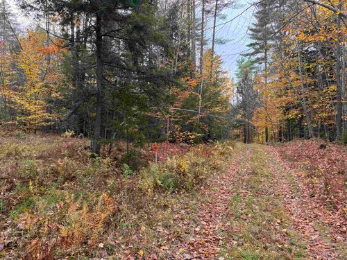 Lots 1 & 2 Hall Road, Bristol, NH, 03222 | Card Image
