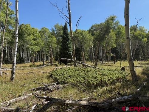 121 Ridge Rd, Cimarron, CO, 81220-9523 | Card Image