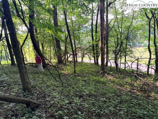 1 Oak Trail, Home with 0 bedrooms, 0 bathrooms and null parking in Creston NC | Image 16