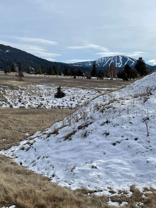 60 Stevie Ln, Philipsburg, MT, 59858-7645 | Card Image