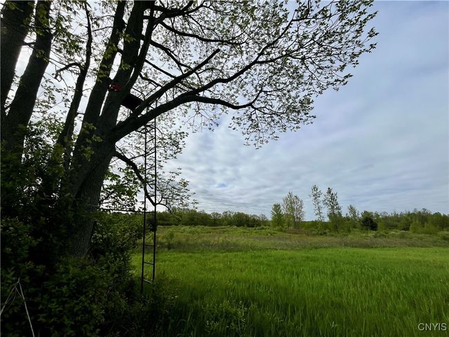 37224 County Route 4, Home with 0 bedrooms, 0 bathrooms and null parking in Clayton NY | Image 14
