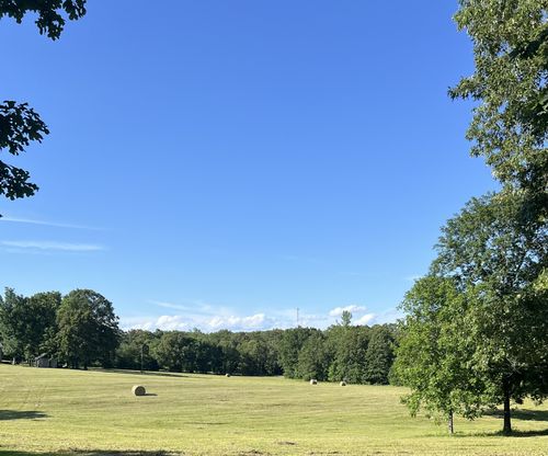 0 Shaffer Rd, Summertown, TN, 38483 | Card Image