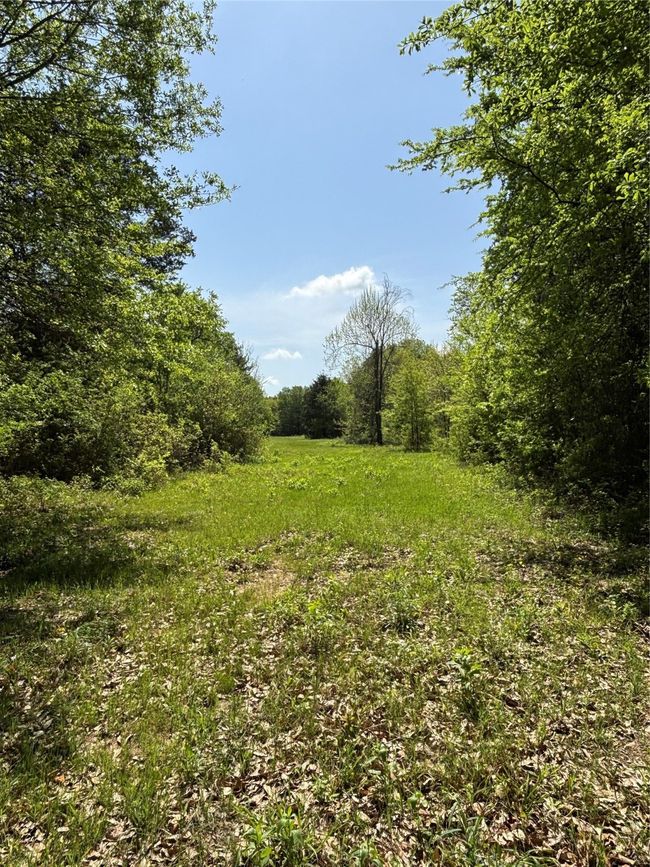 View of nature featuring a view of trees | Image 12