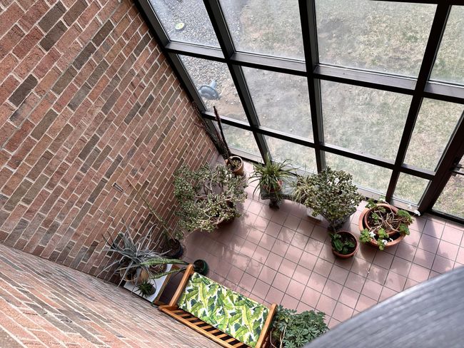 Indoor garden spaces | Image 20