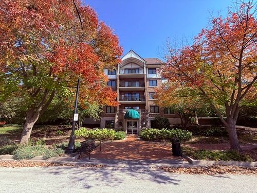 407b-5 S Pine St, Mount Prospect, IL, 60056-3145 | Card Image