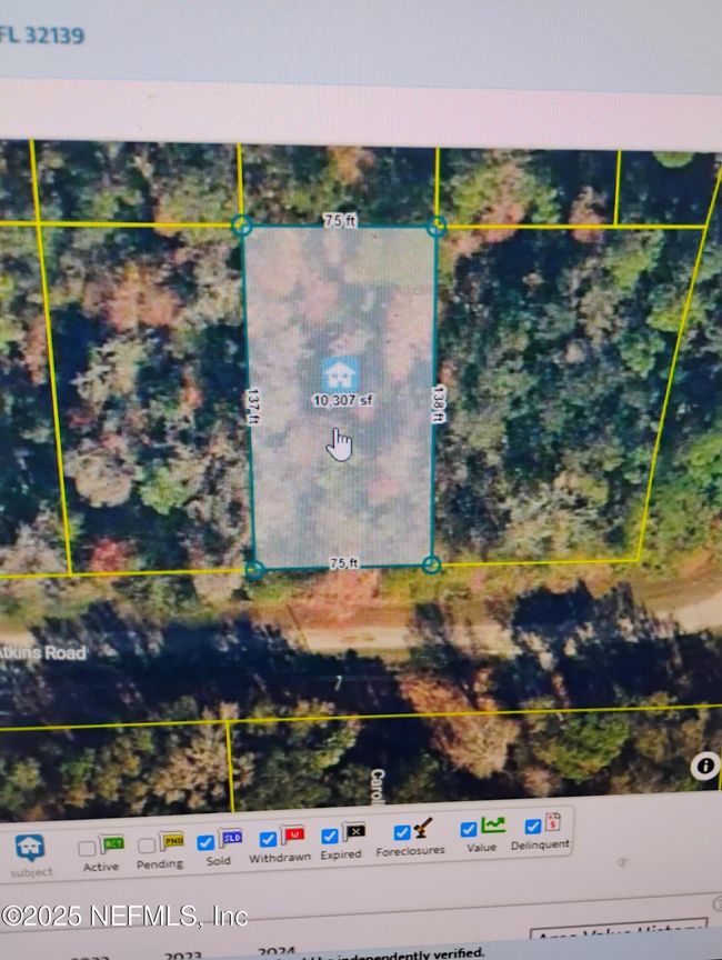 228 Atkins Rd, Home with 0 bedrooms, 0 bathrooms and null parking in Georgetown FL | Image 8