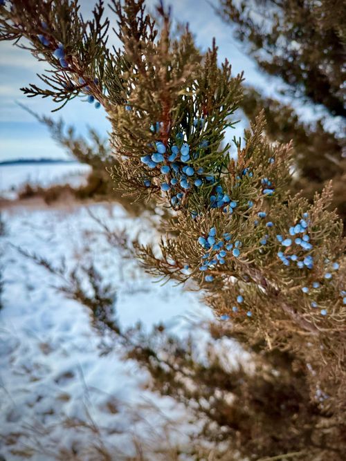 21423 Vergus Ave, Prior Lake, MN, 55372-8833 | Card Image