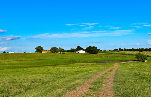 443 County Road 280, Shiner, TX, 77984-6015 | Card Image