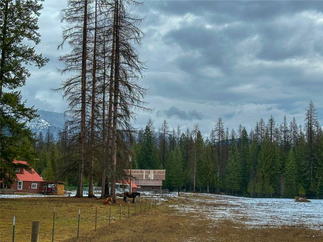 View of pasture featuring a mountain view and a wooded view | Image 28