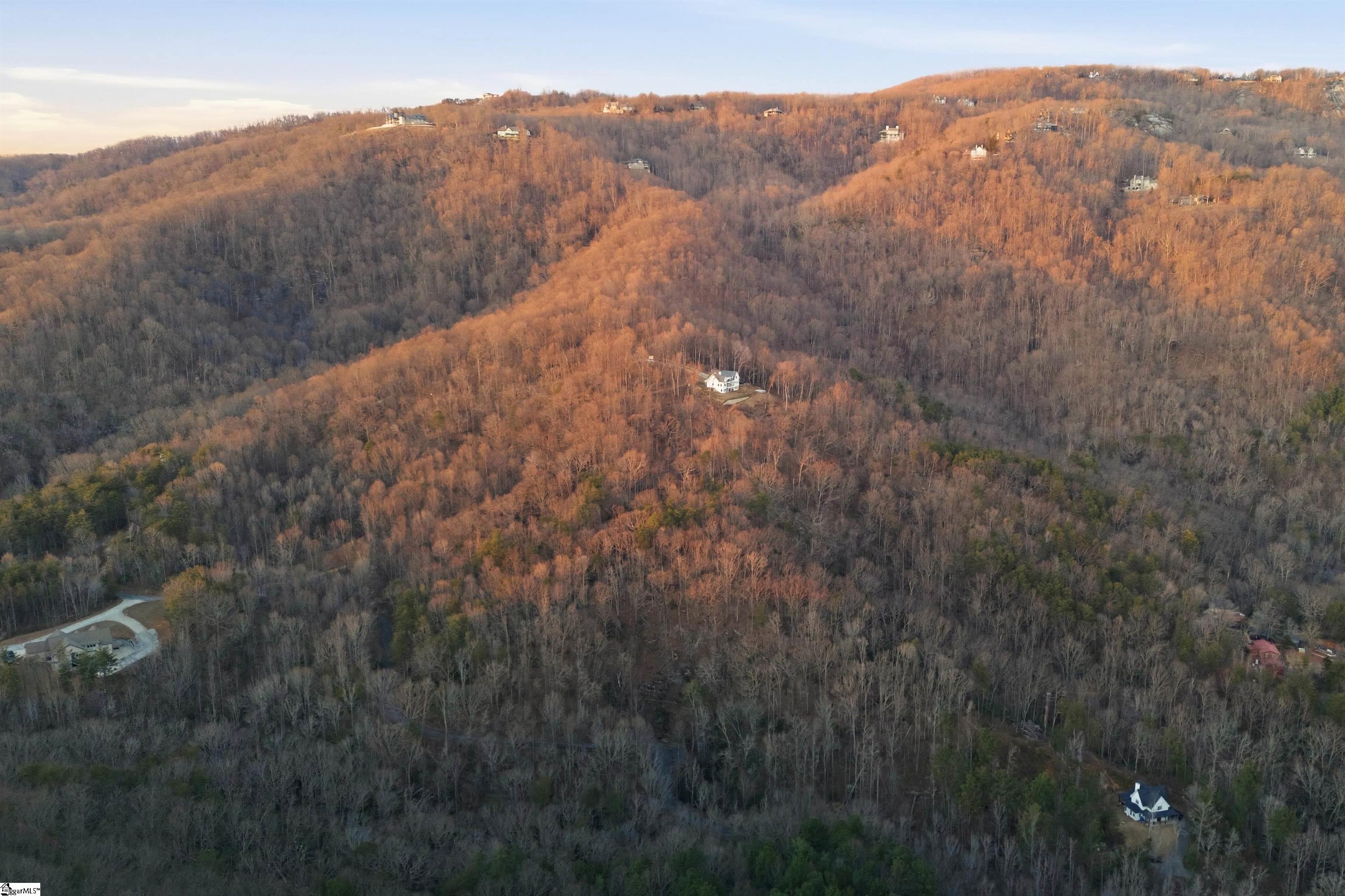 Land in Landrum 3