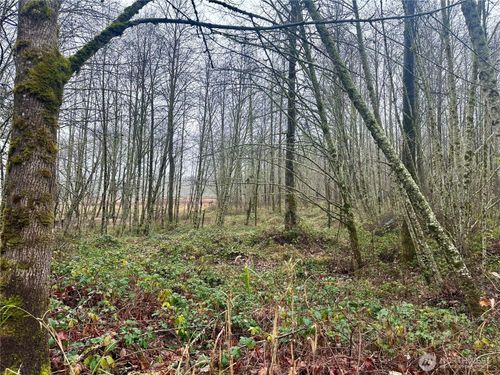 1230 Silverbrook Road, White Pass, WA, 98937 | Card Image