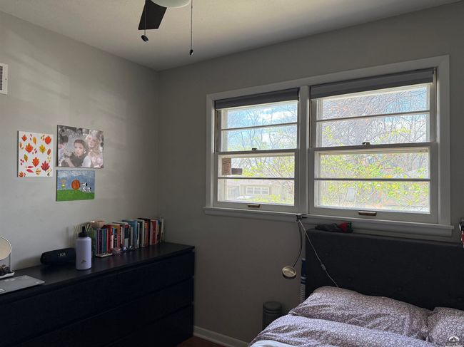 Southern wall and light. Shaded by deciduous oak tree | Image 30