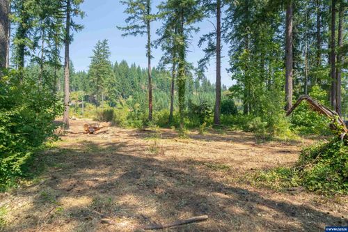 Lot 1101 Santiam Park Rd Se, Lyons, OR, 97358-9423 | Card Image