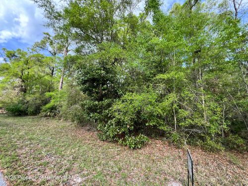 0 Nw 74th Ct, CHIEFLAND, FL, 32626 | Card Image