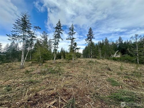0 Lot 5 E Pickering Rd, Shelton, WA, 98584 | Card Image