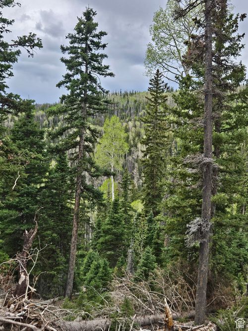 39-39 Unknown, Beaver, UT, 84713 | Card Image