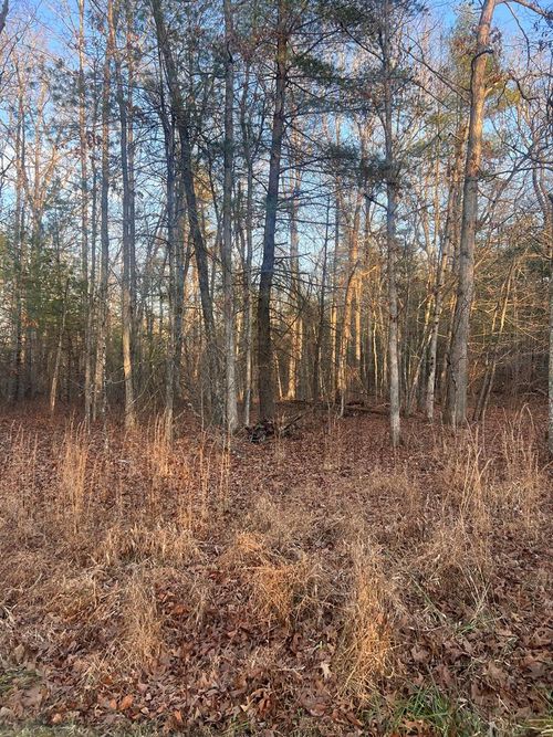 7003 Talahatchie Dr, Crossville, TN, 38572-6547 | Card Image