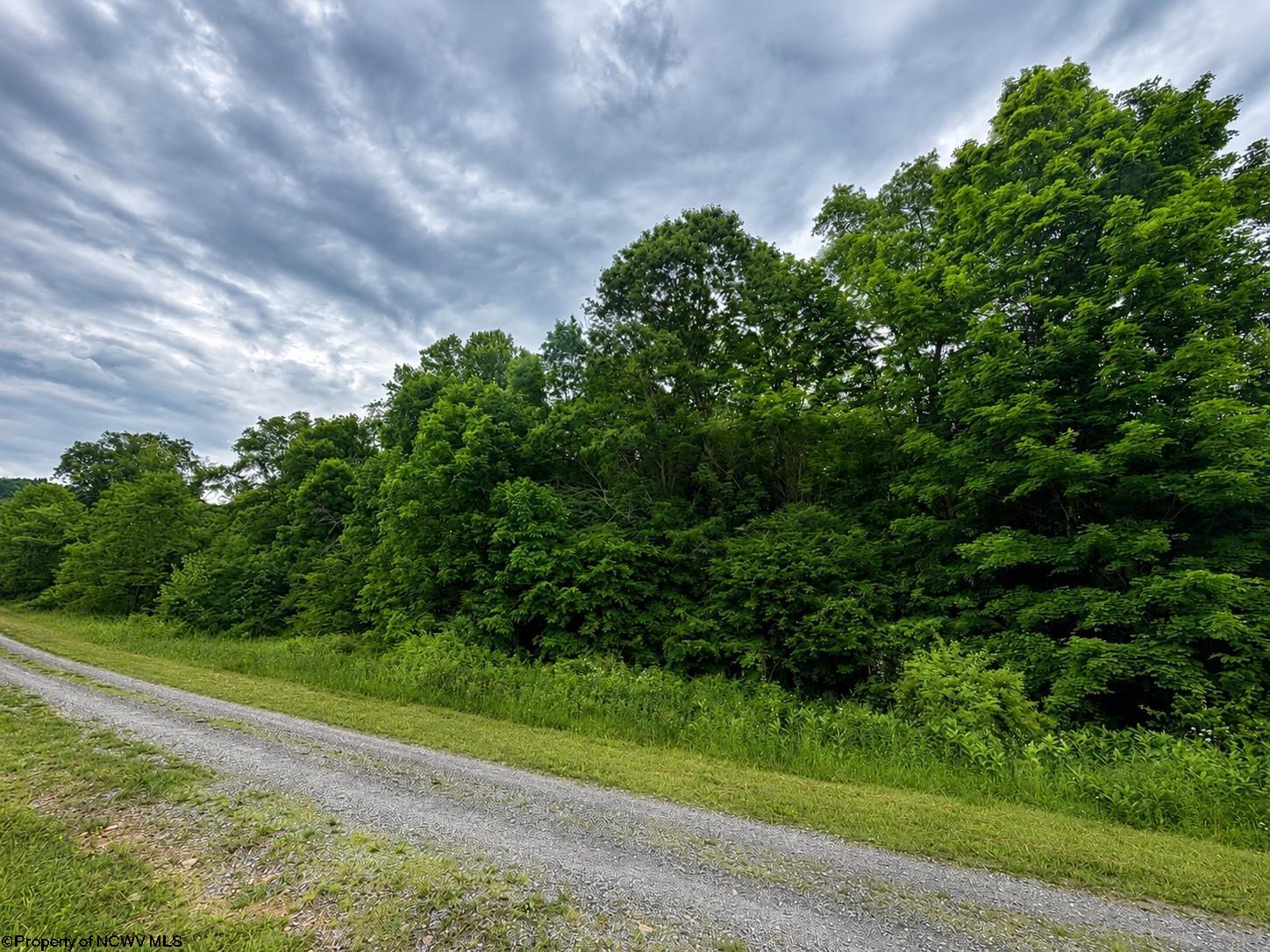 Land in Dryfork