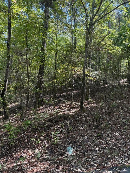 14 Lbk Cir, Tignall, GA, 30668 | Card Image