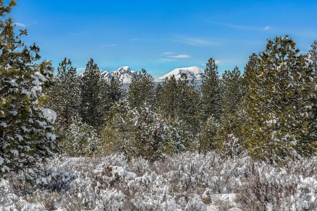 OReilly_20240306_13_287893_a_72ppi | Image 14