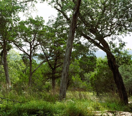 850 Days End Rd, Wimberley, TX, 78676-9175 | Card Image