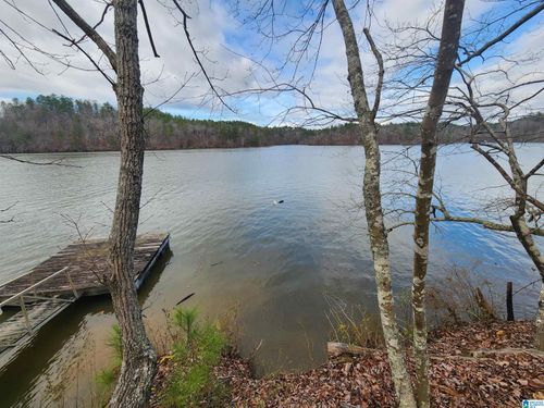 1-Lot 8 Eagle Point Road, ROCKFORD, AL, 35136 | Card Image