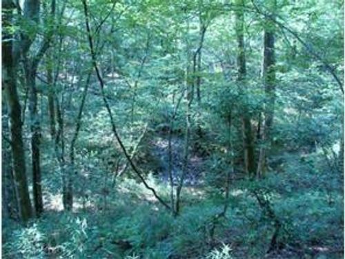 31 Valhalla Dr, Cleveland, GA, 30528-4294 | Card Image