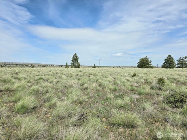 226 Duree Rd, Home with 0 bedrooms, 0 bathrooms and null parking in Bickleton WA | Image 17