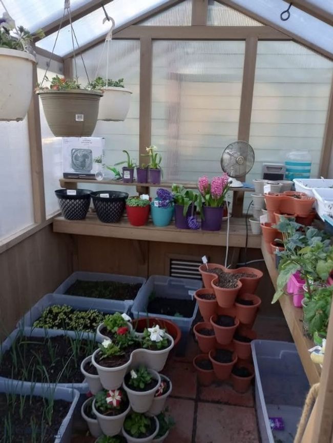 Inside Greenhouse | Image 33