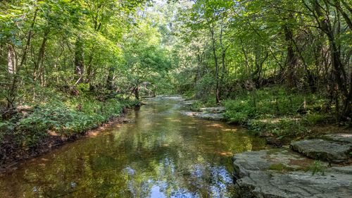 Tbd Browns Creek Rd, Ravenden, AR, 72459 | Card Image