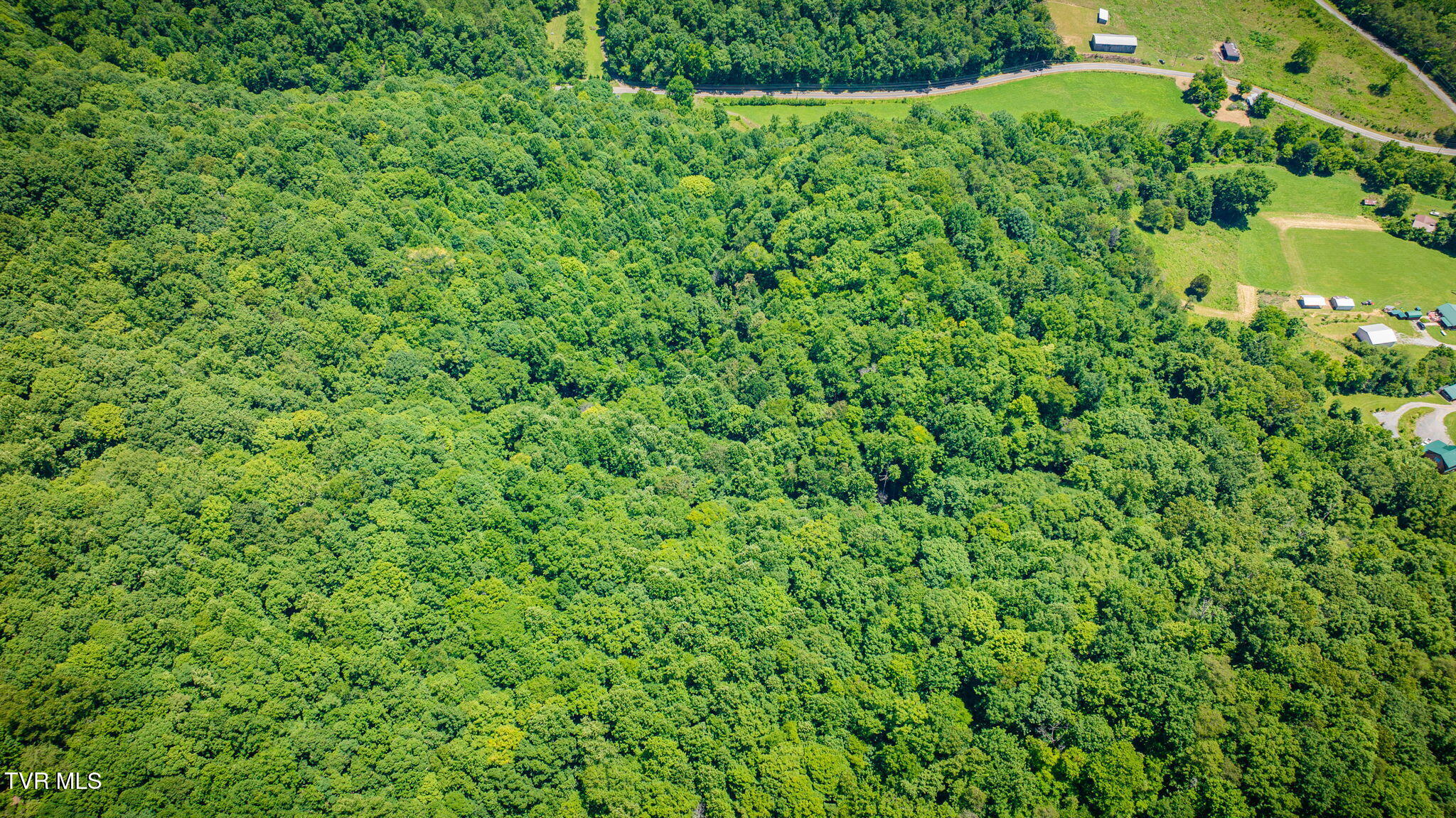 Land in Rogersville 5